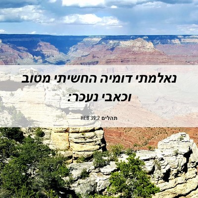 Picture 06 - תהלים 39:2 HEB - נאלמתי דומיה החשיתי מטוב - Bible Verse Picture