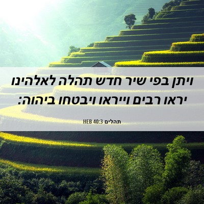 Picture 06 - תהלים 40:3 HEB - ויתן בפי שיר חדש תהלה - Bible Verse Picture