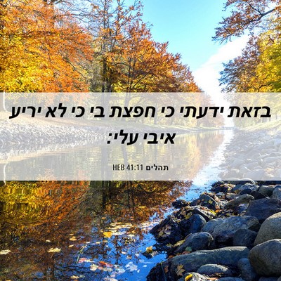 Picture 06 - תהלים 41:11 HEB - בזאת ידעתי כי חפצת בי כי לא - Bible Verse Picture