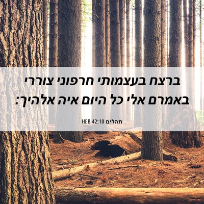 Picture 06 - תהלים 42:10 HEB - ברצח בעצמותי חרפוני צוררי - Bible Verse Picture