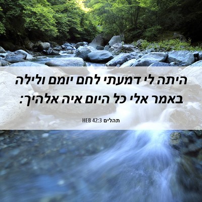 Picture 06 - תהלים 42:3 HEB - היתה לי דמעתי לחם יומם - Bible Verse Picture