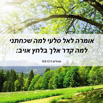 Picture 06 - תהלים 42:9 HEB - אומרה לאל סלעי למה שכחתני - Bible Verse Picture