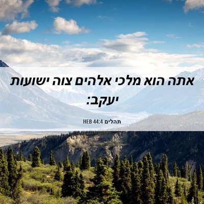 Picture 06 - תהלים 44:4 HEB - אתה הוא מלכי אלהים צוה - Bible Verse Picture