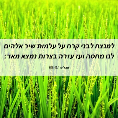 Picture 06 - תהלים 46:1 HEB - למנצח לבני קרח על עלמות שיר - Bible Verse Picture
