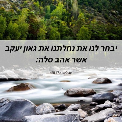 Picture 06 - תהלים 47:4 HEB - יבחר לנו את נחלתנו את גאון - Bible Verse Picture