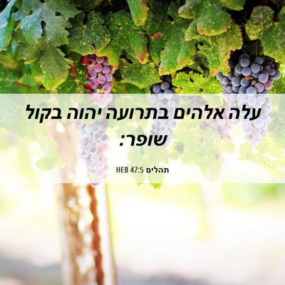 Picture 06 - תהלים 47:5 HEB - עלה אלהים בתרועה יהוה בקול - Bible Verse Picture