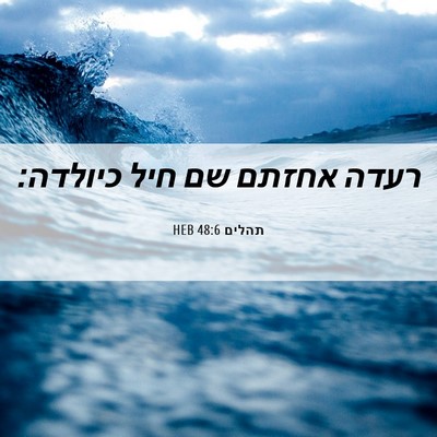 Picture 06 - תהלים 48:6 HEB - רעדה אחזתם שם חיל - Bible Verse Picture