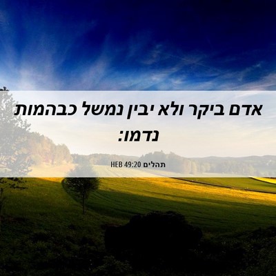 Picture 06 - תהלים 49:20 HEB - אדם ביקר ולא יבין נמשל - Bible Verse Picture