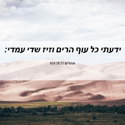 Picture 06 - תהלים 50:11 HEB - ידעתי כל עוף הרים וזיז שדי - Bible Verse Picture
