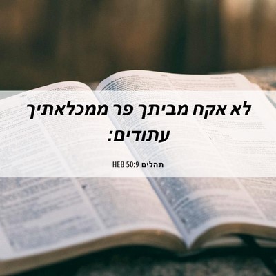 Picture 06 - תהלים 50:9 HEB - לא אקח מביתך פר ממכלאתיך - Bible Verse Picture