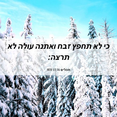Picture 06 - תהלים 51:16 HEB - כי לא תחפץ זבח ואתנה עולה - Bible Verse Picture
