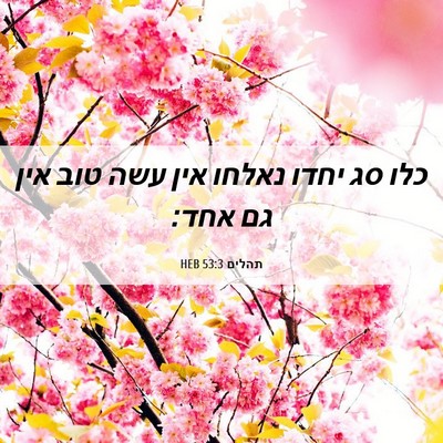 Picture 06 - תהלים 53:3 HEB - כלו סג יחדו נאלחו אין עשה - Bible Verse Picture