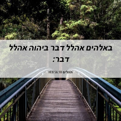 Picture 06 - תהלים 56:10 HEB - באלהים אהלל דבר ביהוה אהלל - Bible Verse Picture
