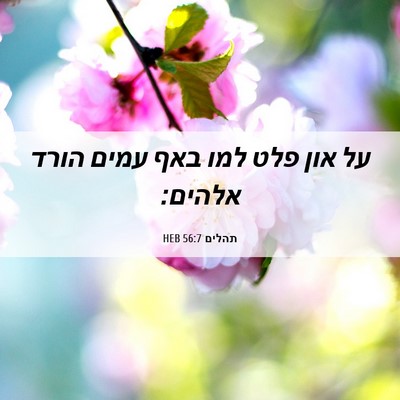 Picture 06 - תהלים 56:7 HEB - על און פלט למו באף עמים - Bible Verse Picture