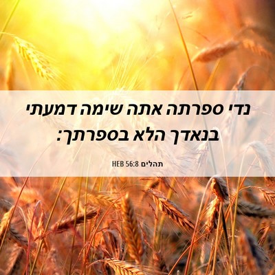 Picture 06 - תהלים 56:8 HEB - נדי ספרתה אתה שימה דמעתי - Bible Verse Picture