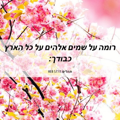 Picture 06 - תהלים 57:11 HEB - רומה על שמים אלהים על כל - Bible Verse Picture