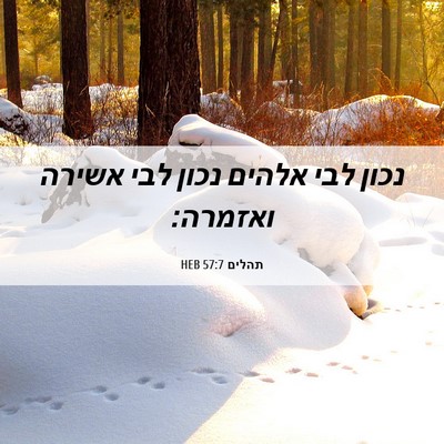 Picture 06 - תהלים 57:7 HEB - נכון לבי אלהים נכון לבי - Bible Verse Picture