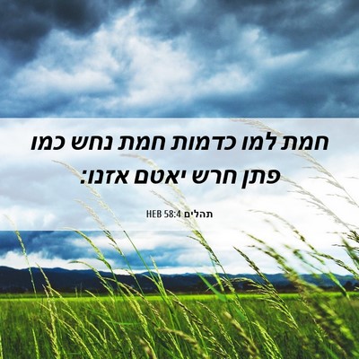 Picture 06 - תהלים 58:4 HEB - חמת למו כדמות חמת נחש כמו - Bible Verse Picture