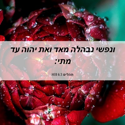 Picture 06 - תהלים 6:3 HEB - ונפשי נבהלה מאד ואת יהוה עד - Bible Verse Picture