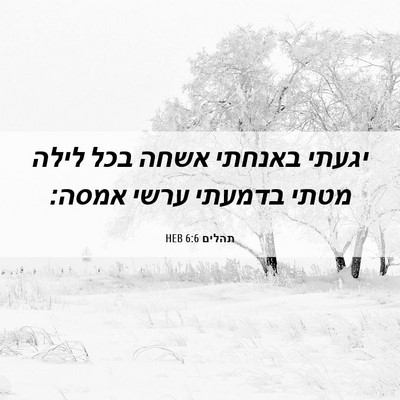 Picture 06 - תהלים 6:6 HEB - יגעתי באנחתי אשחה בכל לילה - Bible Verse Picture