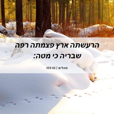 Picture 06 - תהלים 60:2 HEB - הרעשתה ארץ פצמתה רפה שבריה - Bible Verse Picture