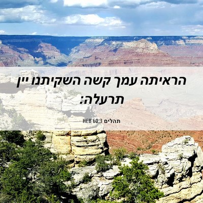 Picture 06 - תהלים 60:3 HEB - הראיתה עמך קשה השקיתנו יין - Bible Verse Picture