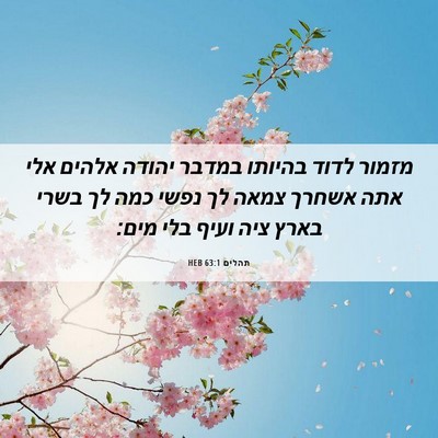 Picture 06 - תהלים 63:1 HEB - מזמור לדוד בהיותו במדבר - Bible Verse Picture