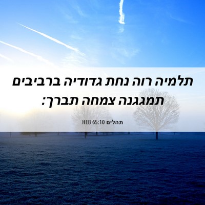 Picture 06 - תהלים 65:10 HEB - תלמיה רוה נחת גדודיה - Bible Verse Picture