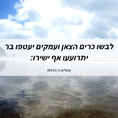 Picture 06 - תהלים 65:13 HEB - לבשו כרים הצאן ועמקים - Bible Verse Picture