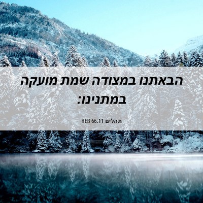 Picture 06 - תהלים 66:11 HEB - הבאתנו במצודה שמת מועקה - Bible Verse Picture