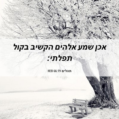 Picture 06 - תהלים 66:19 HEB - אכן שמע אלהים הקשיב בקול - Bible Verse Picture