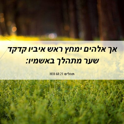 Picture 06 - תהלים 68:21 HEB - אך אלהים ימחץ ראש איביו - Bible Verse Picture