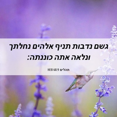 Picture 06 - תהלים 68:9 HEB - גשם נדבות תניף אלהים נחלתך - Bible Verse Picture