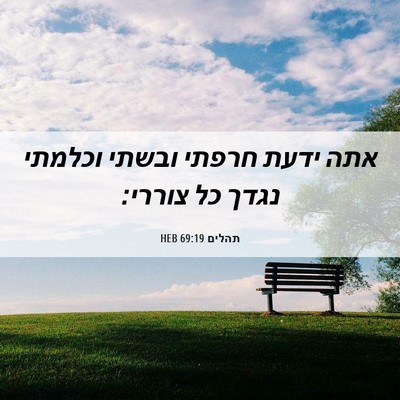 Picture 06 - תהלים 69:19 HEB - אתה ידעת חרפתי ובשתי - Bible Verse Picture
