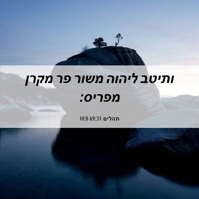 Picture 06 - תהלים 69:31 HEB - ותיטב ליהוה משור פר מקרן - Bible Verse Picture