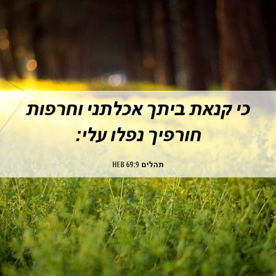 Picture 06 - תהלים 69:9 HEB - כי קנאת ביתך אכלתני וחרפות - Bible Verse Picture