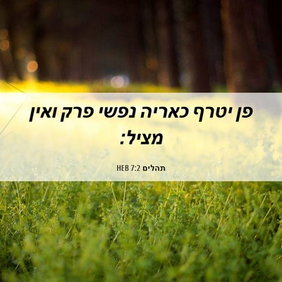 Picture 06 - תהלים 7:2 HEB - פן יטרף כאריה נפשי פרק ואין - Bible Verse Picture