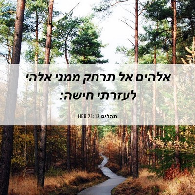 Picture 06 - תהלים 71:12 HEB - אלהים אל תרחק ממני אלהי - Bible Verse Picture