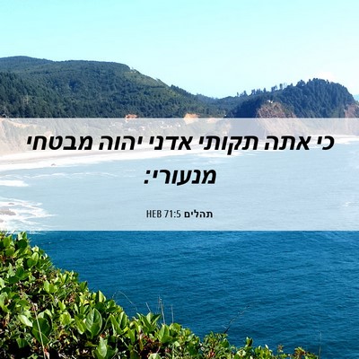 Picture 06 - תהלים 71:5 HEB - כי אתה תקותי אדני יהוה - Bible Verse Picture
