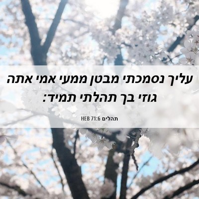Picture 06 - תהלים 71:6 HEB - עליך נסמכתי מבטן ממעי אמי - Bible Verse Picture