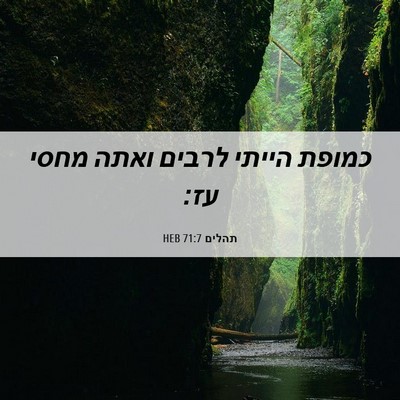 Picture 06 - תהלים 71:7 HEB - כמופת הייתי לרבים ואתה - Bible Verse Picture
