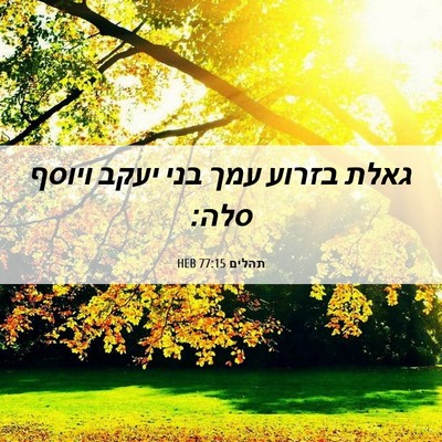Picture 06 - תהלים 77:15 HEB - גאלת בזרוע עמך בני יעקב - Bible Verse Picture