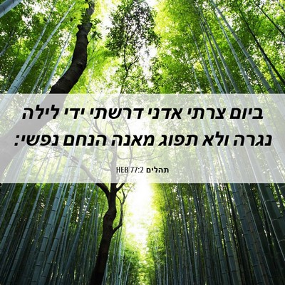 Picture 06 - תהלים 77:2 HEB - ביום צרתי אדני דרשתי ידי - Bible Verse Picture