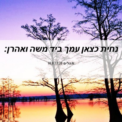 Picture 06 - תהלים 77:20 HEB - נחית כצאן עמך ביד משה - Bible Verse Picture