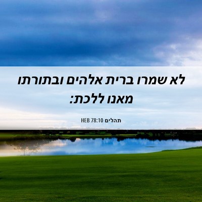 Picture 06 - תהלים 78:10 HEB - לא שמרו ברית אלהים ובתורתו - Bible Verse Picture