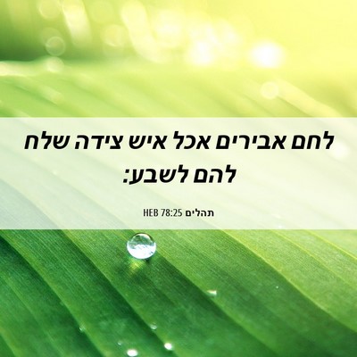 Picture 06 - תהלים 78:25 HEB - לחם אבירים אכל איש צידה שלח - Bible Verse Picture