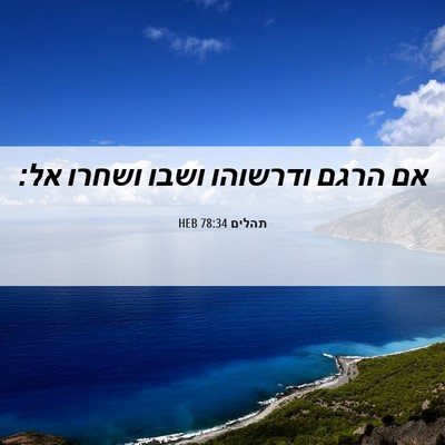 Picture 06 - תהלים 78:34 HEB - אם הרגם ודרשוהו ושבו ושחרו - Bible Verse Picture