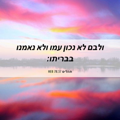 Picture 06 - תהלים 78:37 HEB - ולבם לא נכון עמו ולא נאמנו - Bible Verse Picture