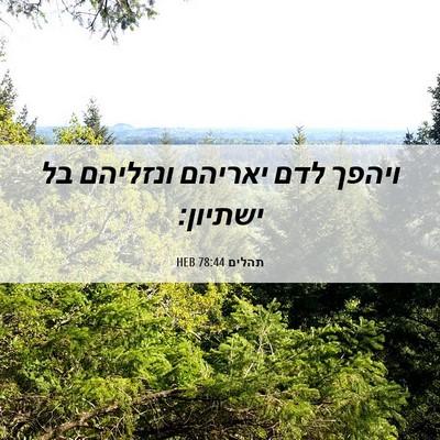 Picture 06 - תהלים 78:44 HEB - ויהפך לדם יאריהם ונזליהם - Bible Verse Picture