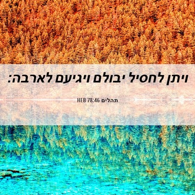 Picture 06 - תהלים 78:46 HEB - ויתן לחסיל יבולם ויגיעם - Bible Verse Picture